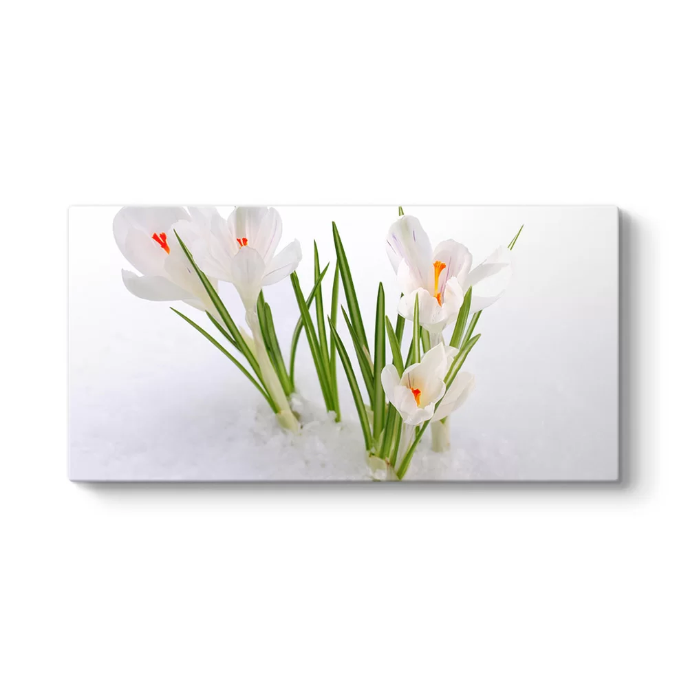 Kardelen Çiçeği Kanvas Tablo - Model 5